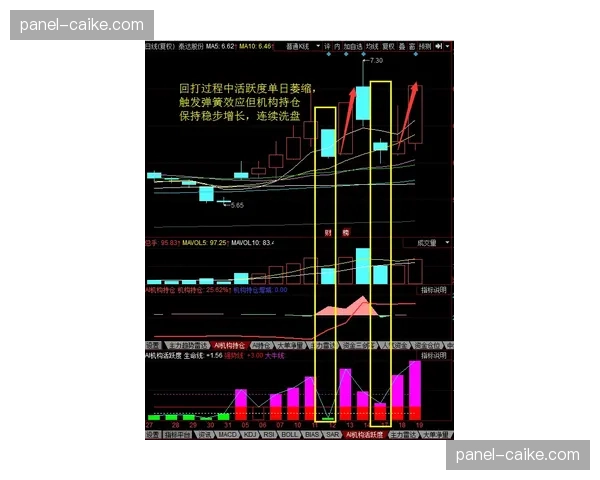 建立基于数据洞察的弹性内容排播策略 动态响应市场热度变化